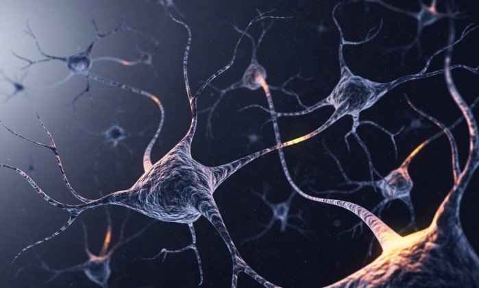 MEU CANTINHO - DIÁRIO DE BORDO