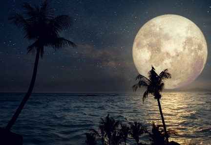 MEU CANTINHO - MI EMOCIONES